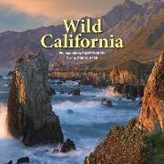 Wild California