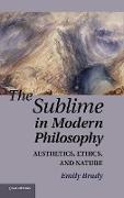 The Sublime in Modern Philosophy