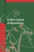 In Vitro Culture of Mycorrhizas