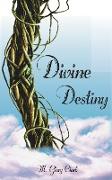 Divine Destiny