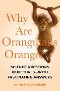 Why Are Orangutans Orange?: Science Questions in Pictures - With Fascinating Answers