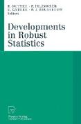Developments in Robust Statistics