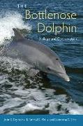 The Bottlenose Dolphin