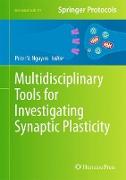 Multidisciplinary Tools for Investigating Synaptic Plasticity