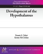 Development of the Hypothalamus