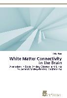 White Matter Connectivity in the Brain