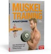 Muskeltraining Anatomie - Mehr Muskelmasse mit gezieltem Hantel- und Seilzug-Training