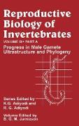 Reproductive Biology of Invertebrates, Progress in Male Gamete Ultrastructure and Phylogeny