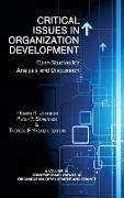 Critical Issues in Organization Development