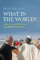 What in the World?: Political Travels in Africa, Asia and the Americas