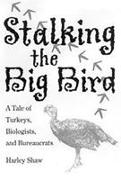 Stalking the Big Bird