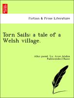 Torn Sails: a tale of a Welsh village