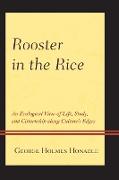 ROOSTER IN THE RICE