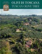 Olivi Di Toscana / Tuscan Olive Tree