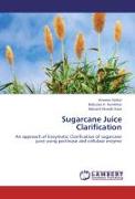 Sugarcane Juice Clarification