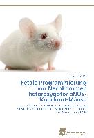 Fetale Programmierung von Nachkommen heterozygoter eNOS-Knockout-Mäuse