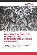 Descripcion del ciclo reproductivo (Tadarida Brasiliensis mexicana)