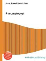 Pneumatocyst