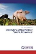 Molecular pathogenesis of Porcine Circovirus 2