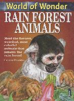 Rain Forest Animals