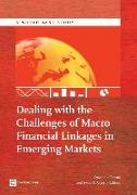 Dealing with the Challenges of Macro Financial Linkages in Emerging Markets