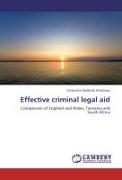 Effective criminal legal aid