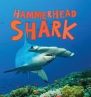 Discover Sharks: Hammerhead Shark