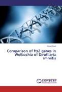 Comparison of ftsZ genes in Wolbachia of Dirofilaria immitis
