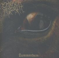 Lammendam (Re-Release)