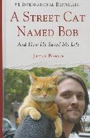 A Street Cat Named Bob: And How He Saved My Life