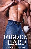Ridden Hard: A Gay Erotic Novella