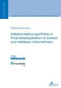 Selbstverstärkungseffekte in Produktionssystemen in kleinen und mittleren Unternehmen