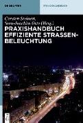 Praxishandbuch effiziente Straßenbeleuchtung