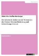 Der informelle Sektor in den Metropolen des Südens: Struktur, Bedeutung und Entwicklungschancen