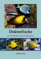 Doktorfische im Korallenriff und im Aquarium