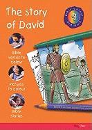 Bible Colour and Learn: 9 David