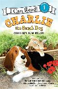 Charlie the Ranch Dog: Charlie's New Friend