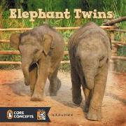 Elephant Twins