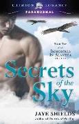 Secrets Of The Sky