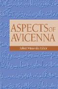 Aspects of Avicenna