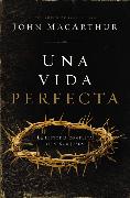 Una vida perfecta