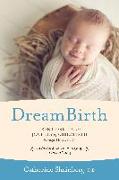 Dreambirth: Transforming the Journey of Childbirth Through Imagery