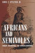 Africans and Seminoles