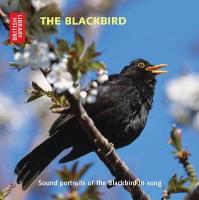 The Blackbird