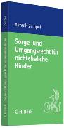 Sorge- und Umgangsrecht für nichteheliche Kinder