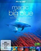 Magic of Big Blue 3D