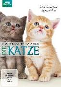 Unser liebstes Haustier - Die Katze