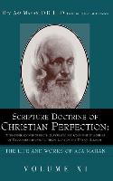 Scripture Doctrine of Christian Perfection: With Other Kindred Subjects, Illustrated and Confirmed in a Series of Discourses Designed to Throw Light o