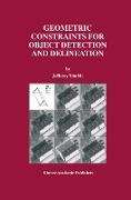 Geometric Constraints for Object Detection and Delineation