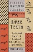 Horse Teeth - Their Form and Function - A Collection of Historical Articles on Equine Anatomy